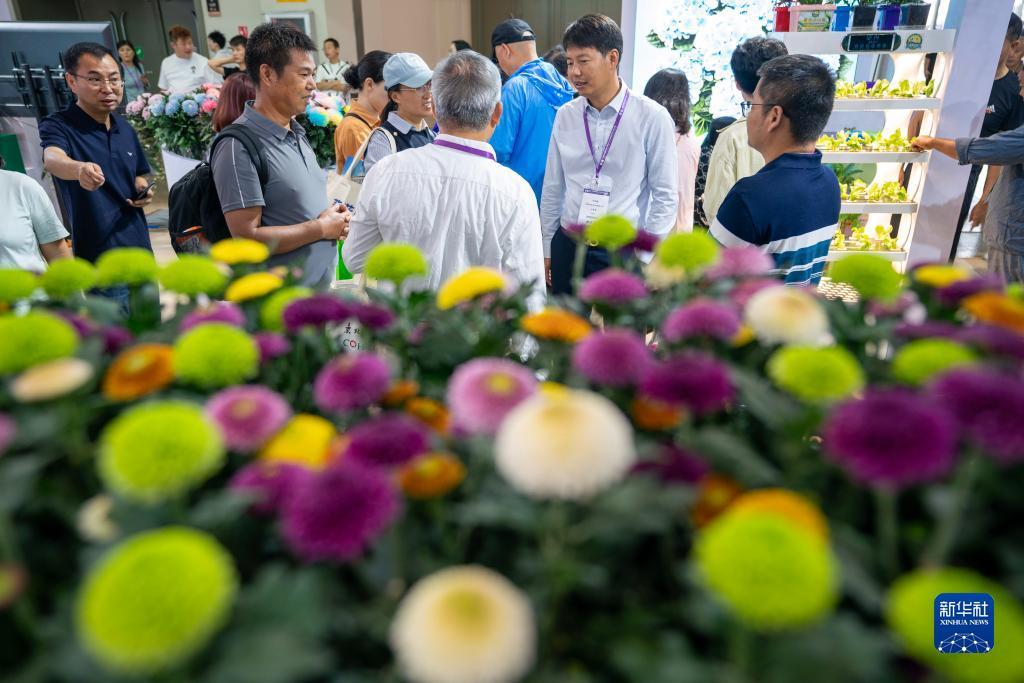 抢庄牛牛棋牌安卓版